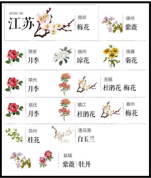 最全204个城市市花，看花涨知识