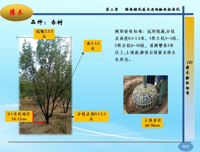 园林景观软硬景配置标准-苗木、施工质量控制指导手册，高清版