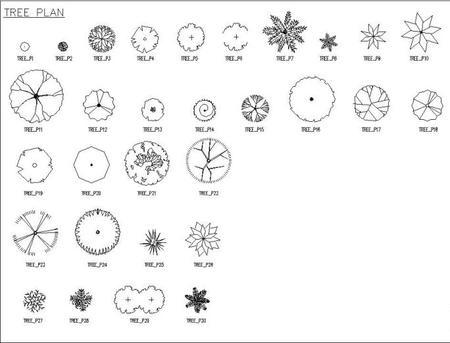 常用园林景观植物-各类平面树PSD、CAD、AI线稿，真正好资源