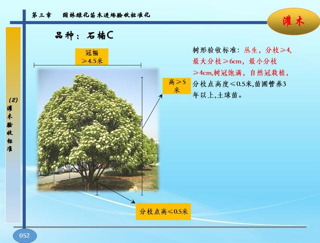 园林景观软硬景配置标准-苗木、施工质量控制指导手册，高清版