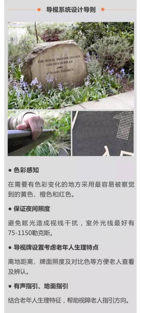 超全!!养老社区报告(规划 景观 建筑 户型)