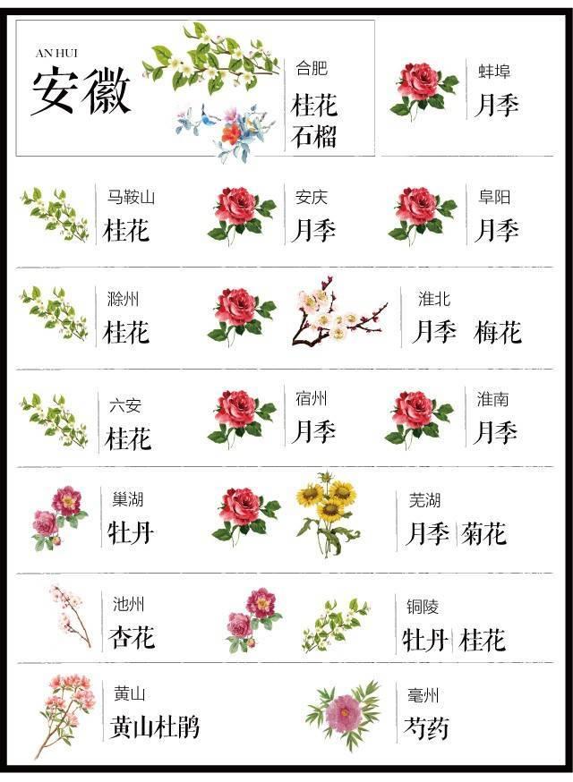 最全204个城市市花，看花涨知识