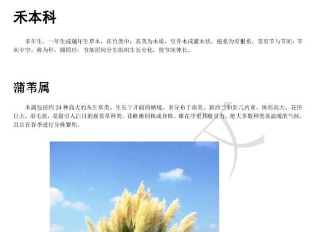 景观植物-精文观赏草百科,观赏草品种介绍