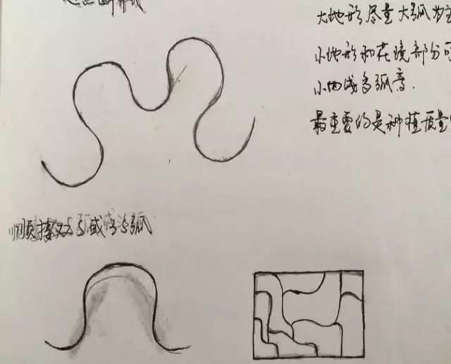 最全图解园林植物配置，建议收藏