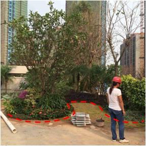 最全图解园林植物配置，建议收藏