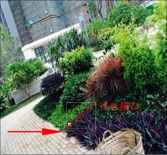 最全图解园林植物配置，建议收藏