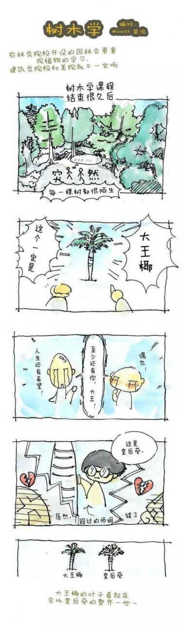 转给快要高考的人,报志愿不要选园林景观好吗