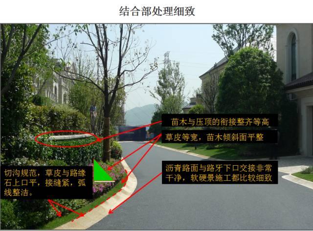 最全图解园林植物配置，建议收藏