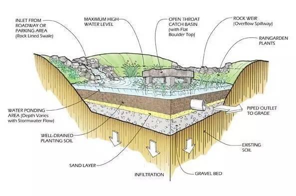 雨水花园远不止如此 要学习的还有很多