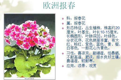 「景观植物」常见植物花卉400余种,资源分享