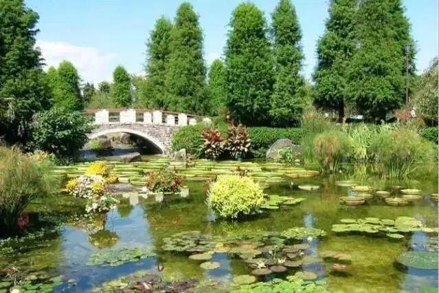 最全图解园林植物配置，建议收藏
