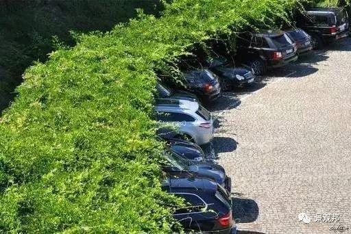 就一个停车位,人家都绞尽脑汁做创意