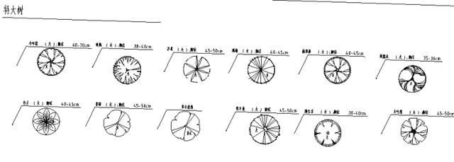 国际景观设计公司-园林植物图例、规格（华南区）