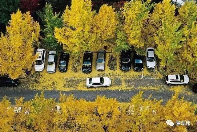 就一个停车位,人家都绞尽脑汁做创意