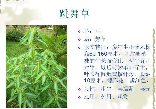 「景观植物」常见植物花卉400余种，资源分享