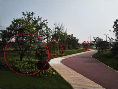 最全图解园林植物配置，建议收藏