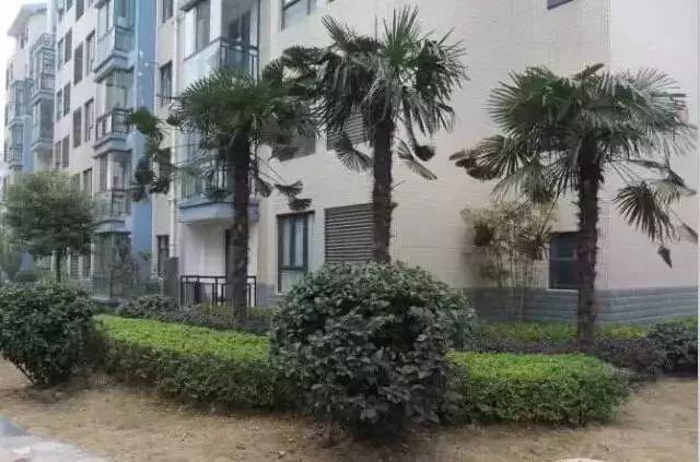 最全图解园林植物配置，建议收藏