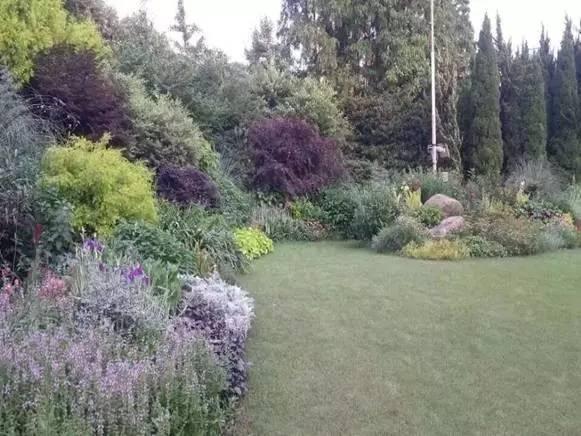 最全图解园林植物配置，建议收藏