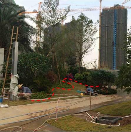 最全图解园林植物配置，建议收藏