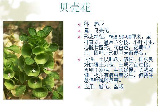 「景观植物」常见植物花卉400余种,资源分享