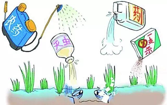 经典版|植物农药知识最全篇,病虫害都解决