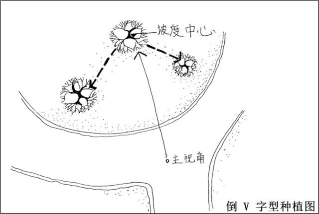 最全图解园林植物配置，建议收藏