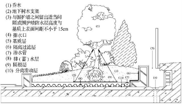 屋顶花园不知怎么做，屋顶景观设计规范及植物配置大全，收藏版