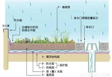 屋顶花园不知怎么做，屋顶景观设计规范及植物配置大全，收藏版