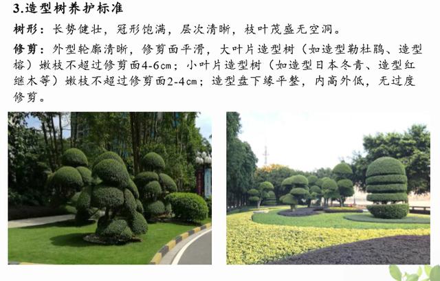 「园林施工管理」大型园林集团南部区域养护标准图例