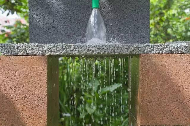 雨水花园远不止如此 要学习的还有很多