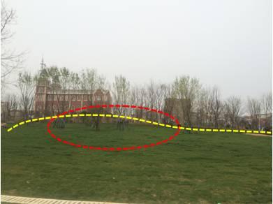 最全图解园林植物配置，建议收藏