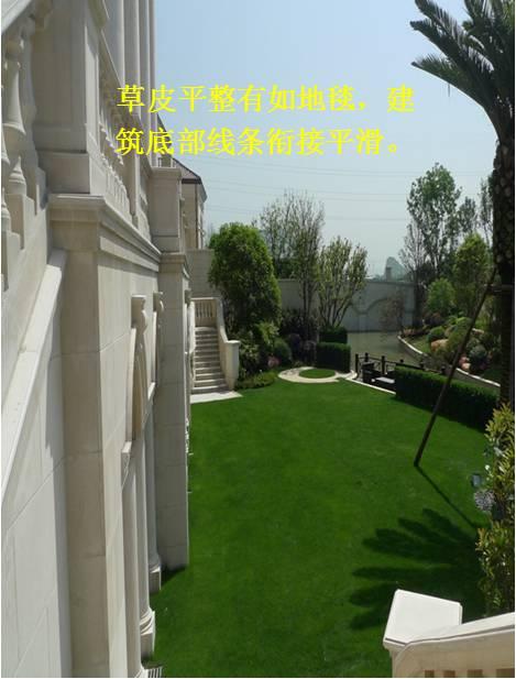 最全图解园林植物配置，建议收藏