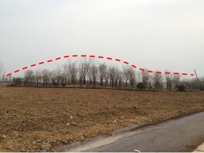 最全图解园林植物配置，建议收藏
