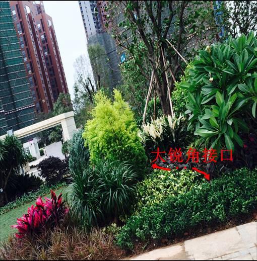 最全图解园林植物配置，建议收藏