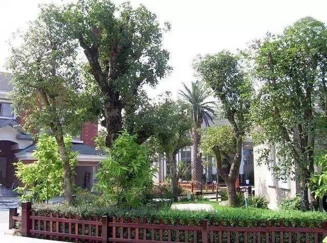 最全图解园林植物配置，建议收藏