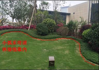 最全图解园林植物配置，建议收藏
