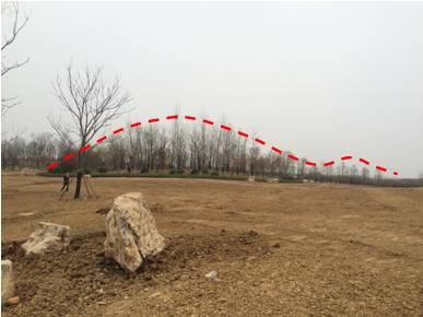 最全图解园林植物配置，建议收藏
