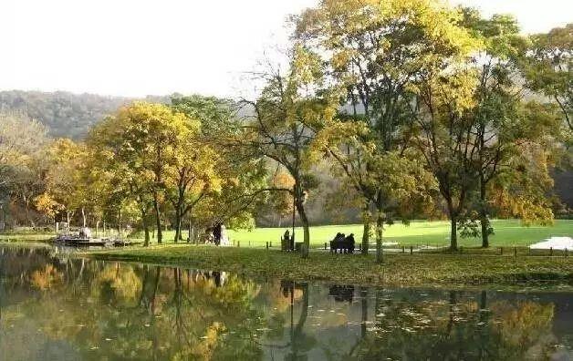 最全图解园林植物配置，建议收藏