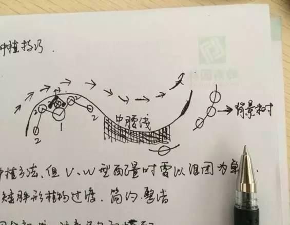 最全图解园林植物配置，建议收藏