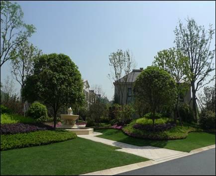 最全图解园林植物配置，建议收藏