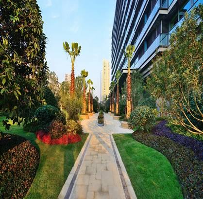 最全图解园林植物配置，建议收藏