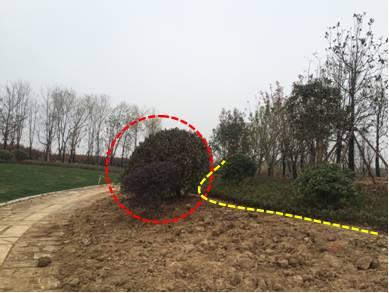 最全图解园林植物配置，建议收藏