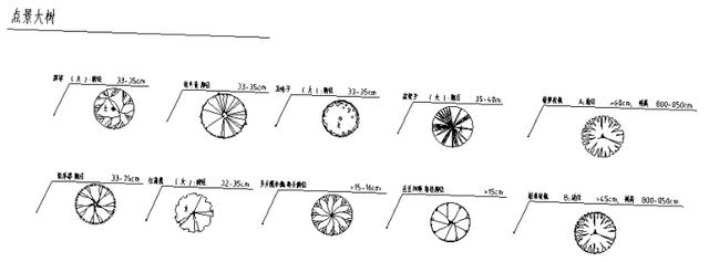 国际景观设计公司-园林植物图例、规格（华南区）