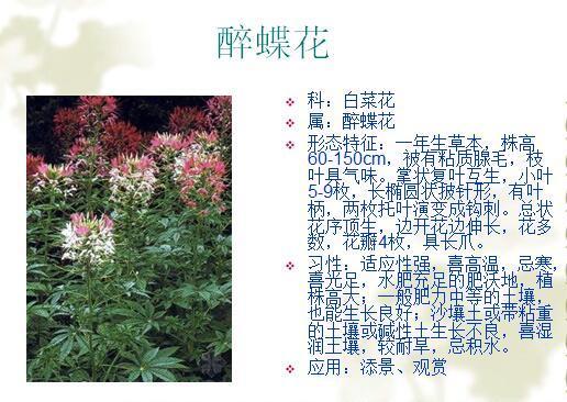 「景观植物」常见植物花卉400余种,资源分享
