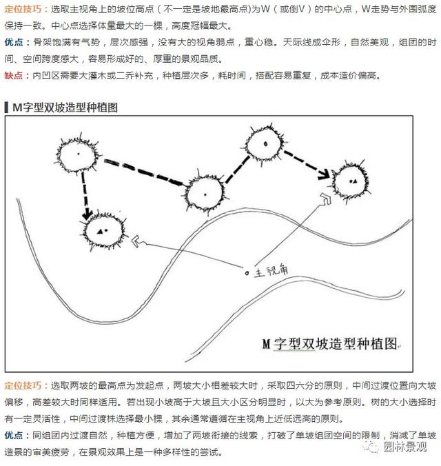 最全图解园林植物配置，建议收藏