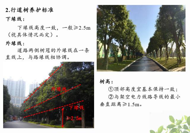 「园林施工管理」大型园林集团南部区域养护标准图例