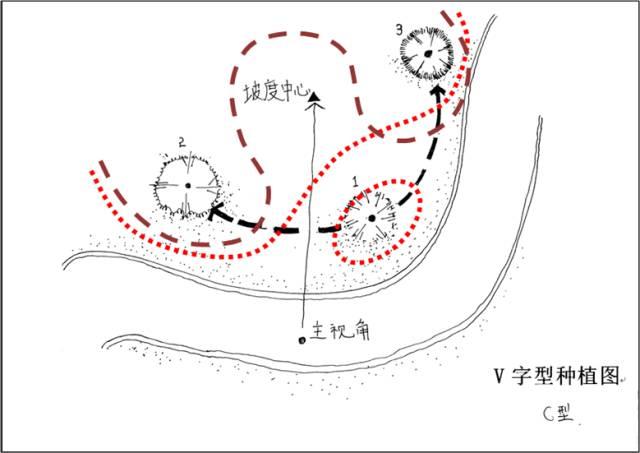 最全图解园林植物配置，建议收藏