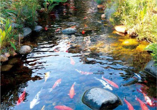 水景──人工湖、溪流与驳岸设计
