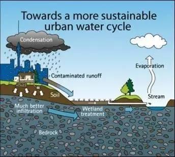 雨水花园远不止如此 要学习的还有很多