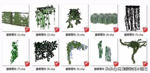 常用精致园林景观植物模型库（计800），设计素材，经典资料分享